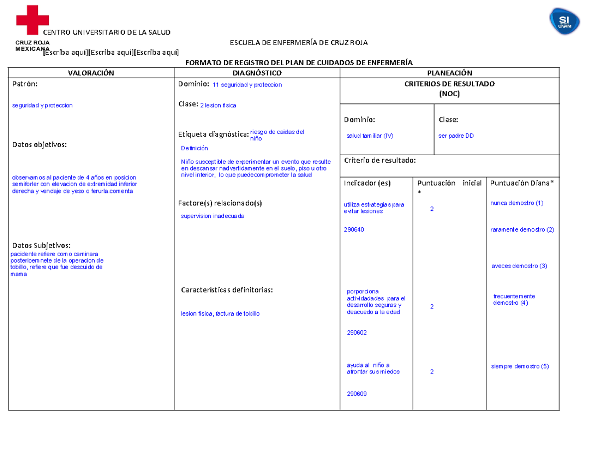 PDF place riesgo de caidas niños, nanda,nic y noc - CENTRO