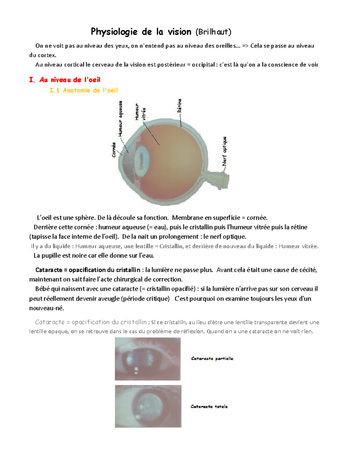 UE8 32 Physiologie De La Vision Brilhault PDF Physiologie De 