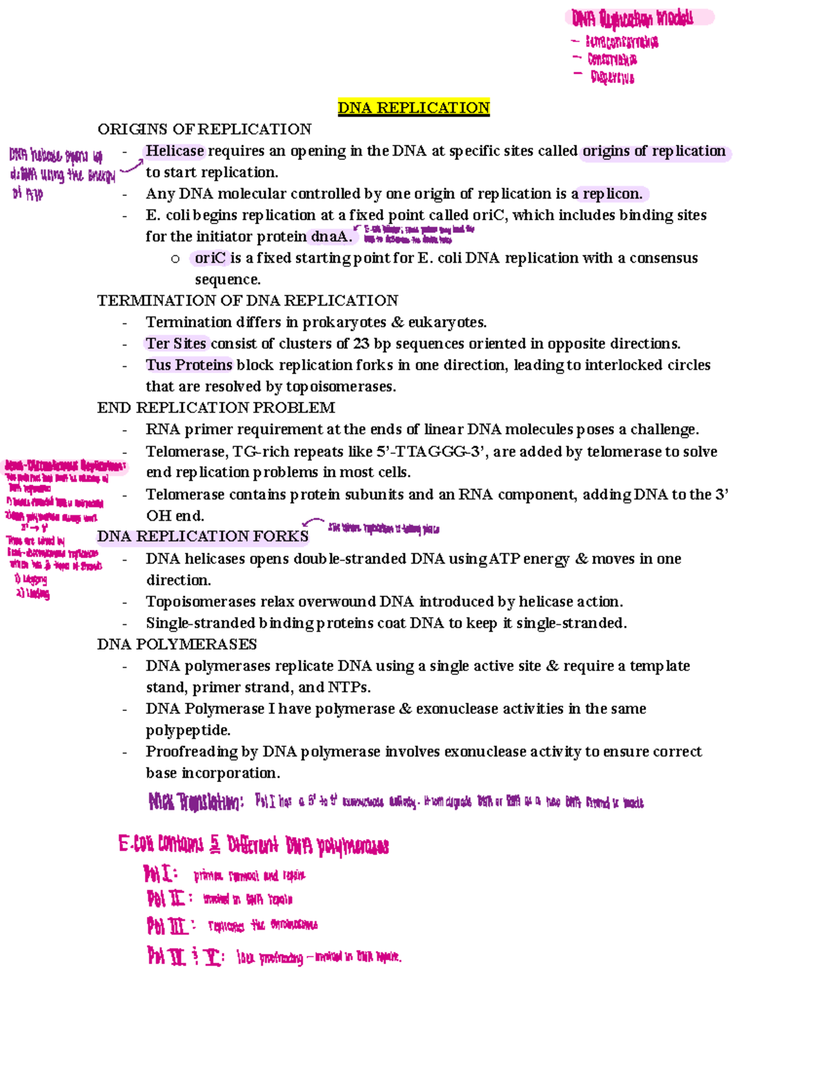 Molecular Genetics Unit 4 Summary - DNA REPLICATION ORIGINS OF ...