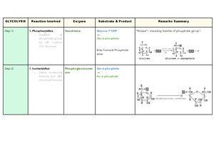 Lab Tests Outline - This well-organized document consists of images and ...