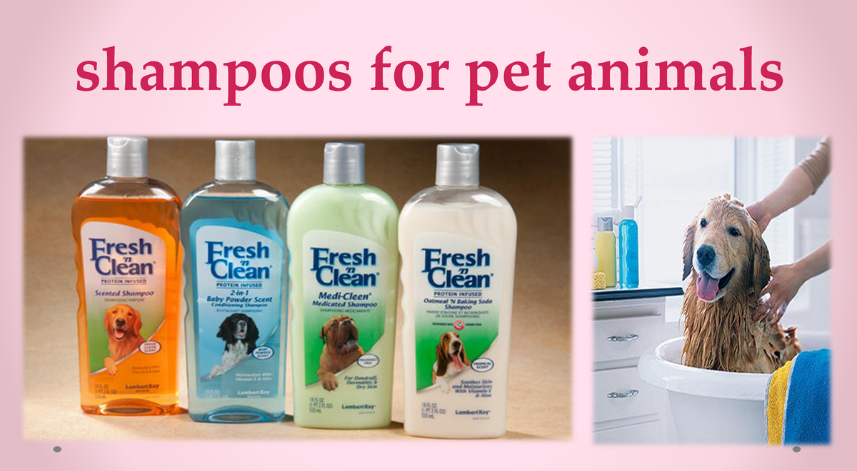 Final shampoos for pet animals shampoos for pet animals Cats don't