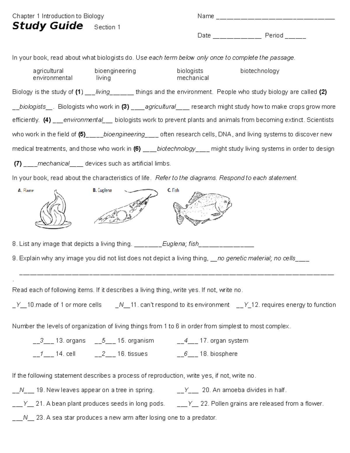 Study guide chapter 1 answers - Chapter 1 Introduction to Biology Name ...