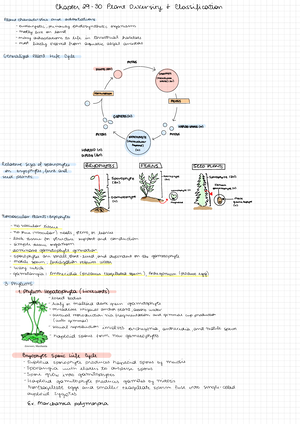 Intro. To Biology Exam 2 Flashcards Quizlet - Intro. To Biology Exam 2 ...