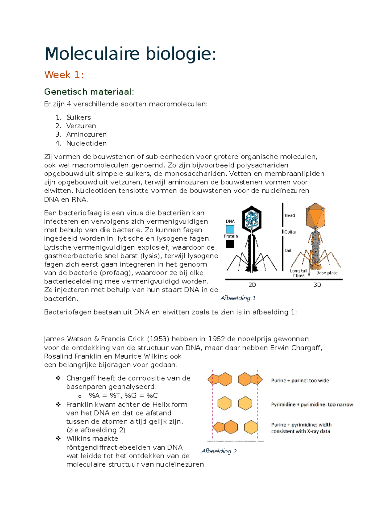 Moleculaire Biologie Week 1 En 2 - Moleculaire Biologie: Week 1 ...