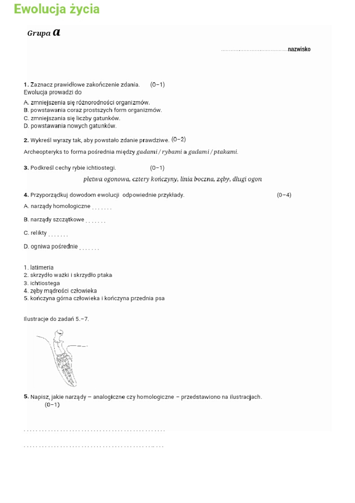 Ewolucja życia Sprawdzian Puls życia 3 Grupa B www.studocu.com