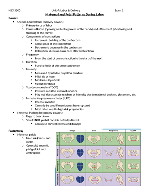 Peds EXAM 4 - Peds Exam 4 Notes. Sommers - 5.) The Nurse Has Attended A ...