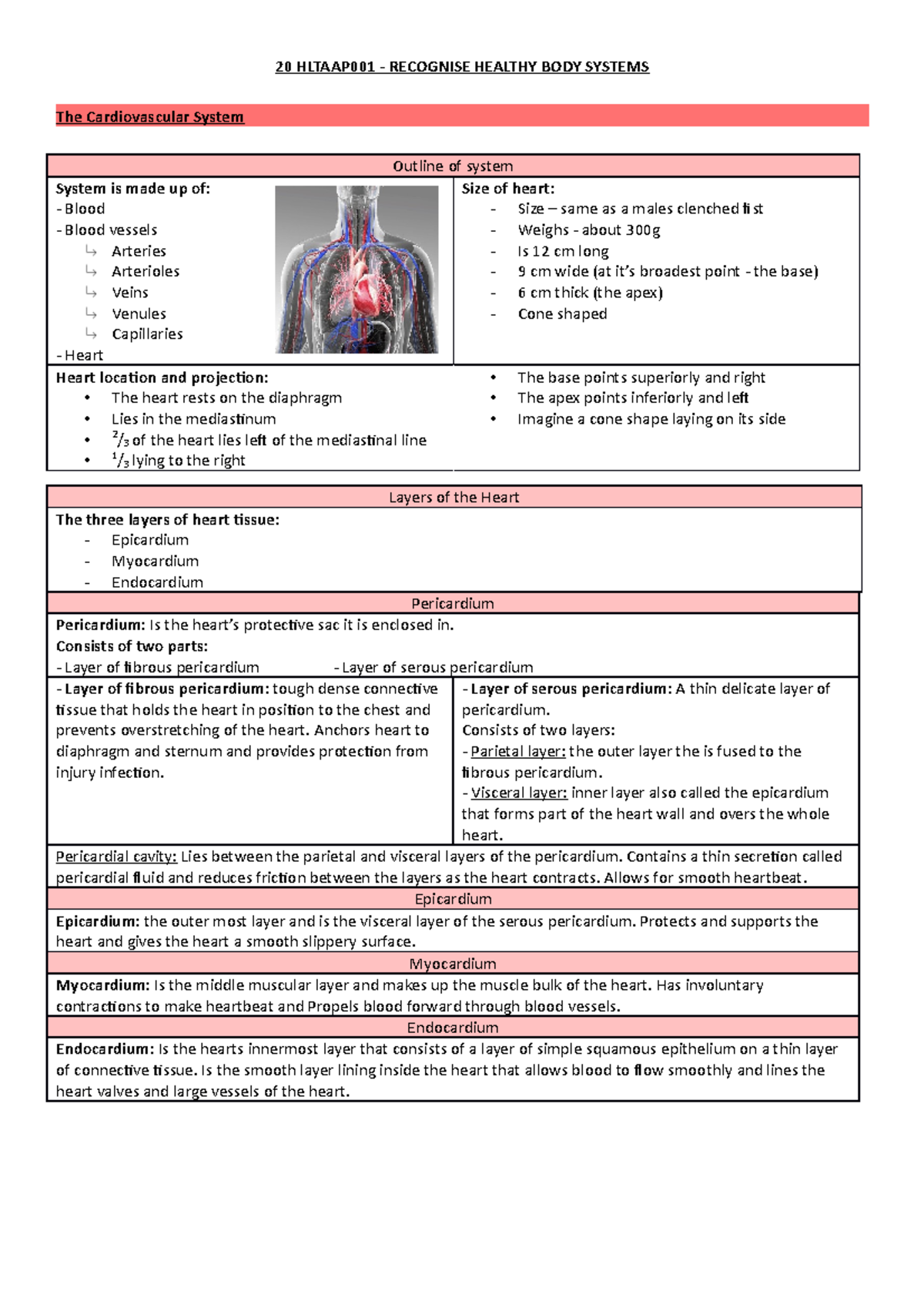 Recognise Healthy Body Systems - Cardiovascular System - 20 HLTAAP001 ...