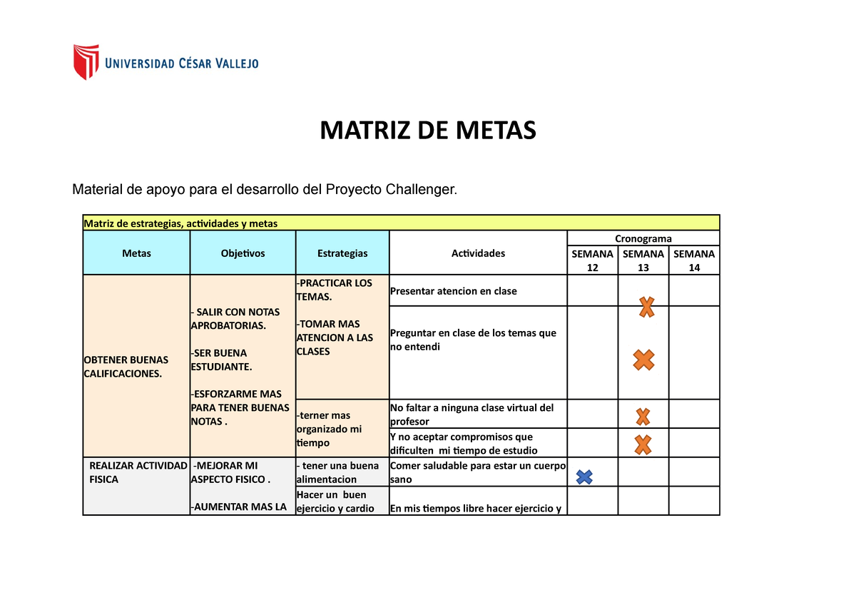 Matriz De Metas 13 Para Dar Aconocer Matriz De Metas Material De Apoyo Para El Desarrollo 1959