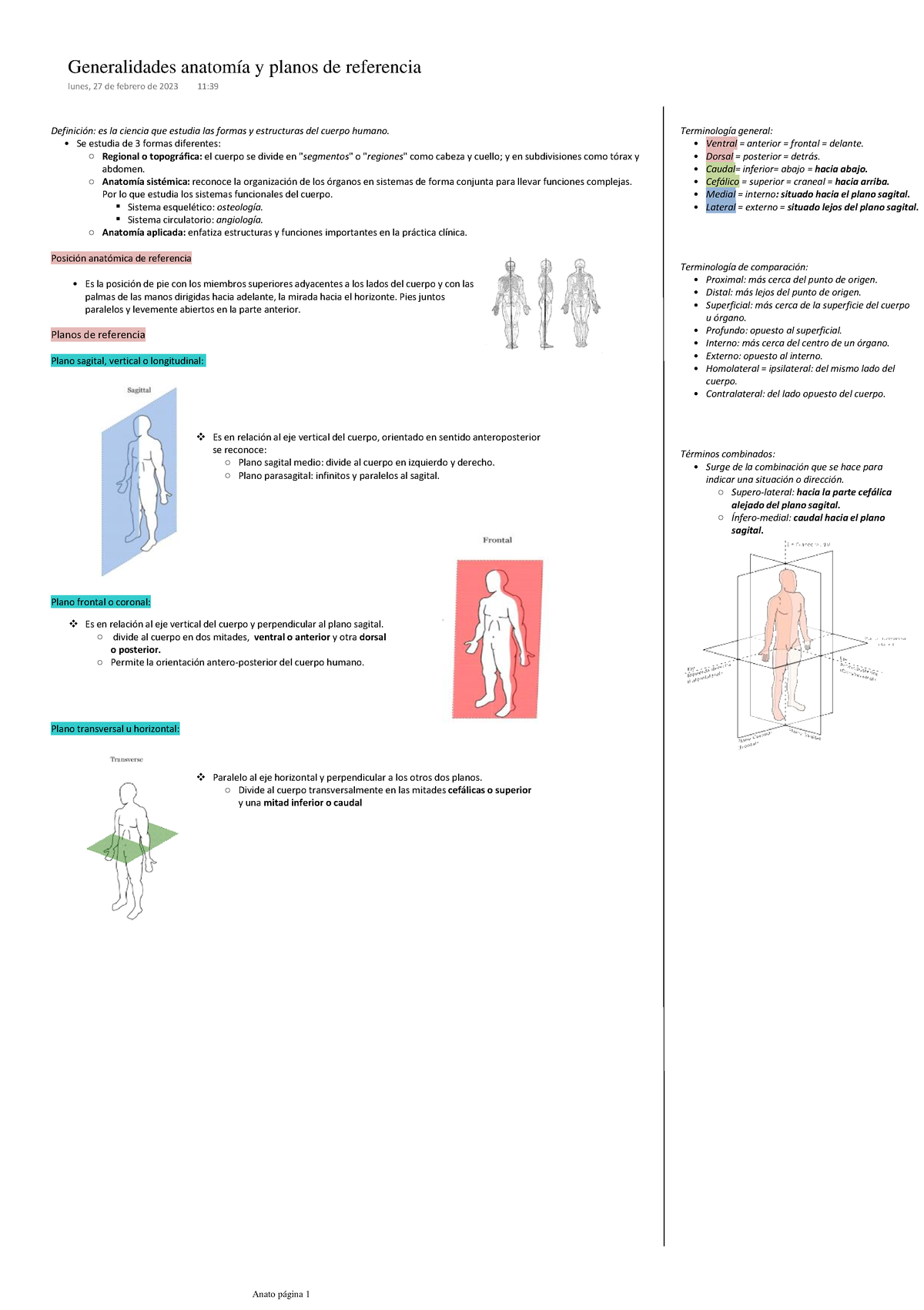 anatomía del eje vertical