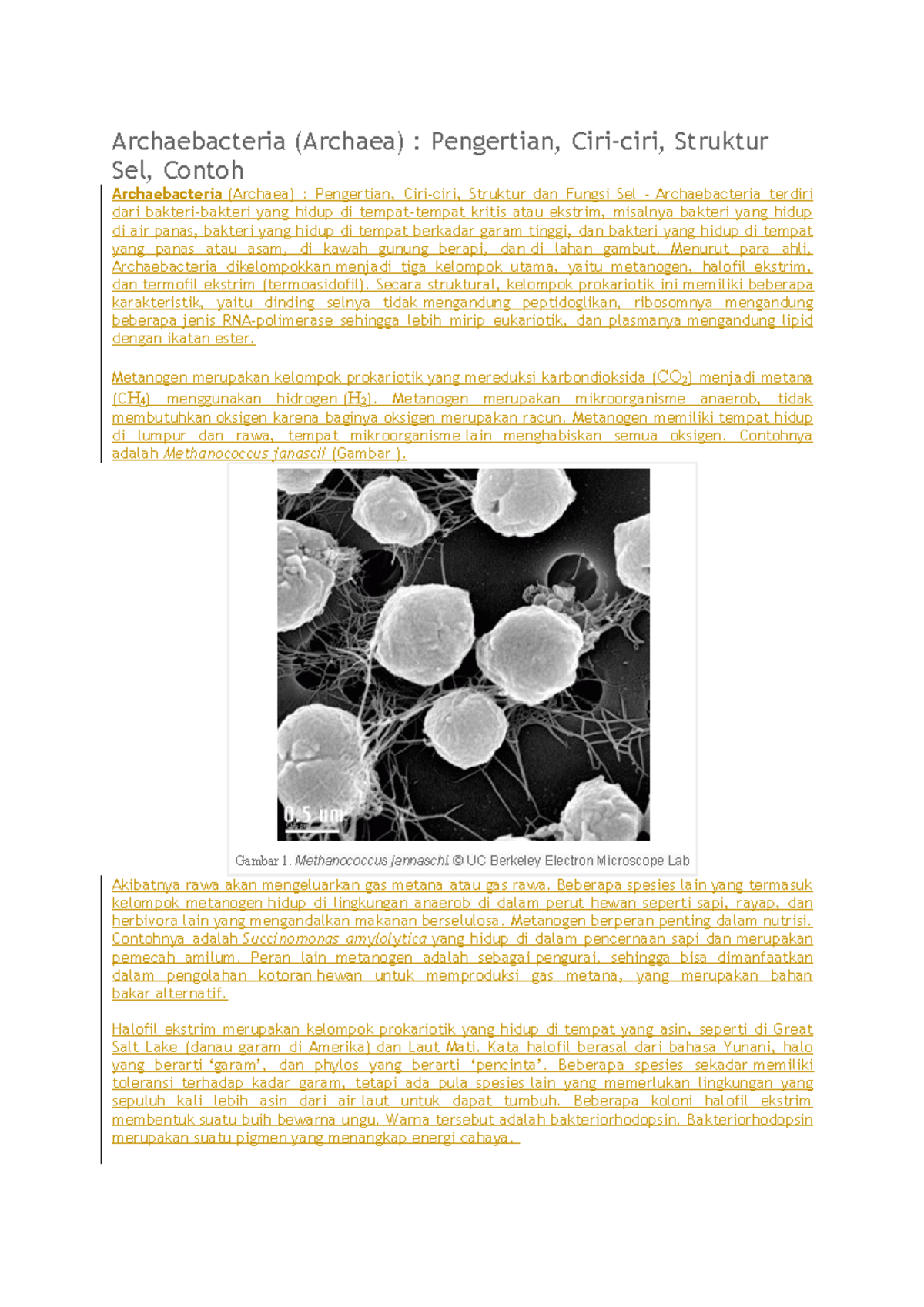 Archaebacteria Menurut para ahli, Archaebacteria dikelompokkan