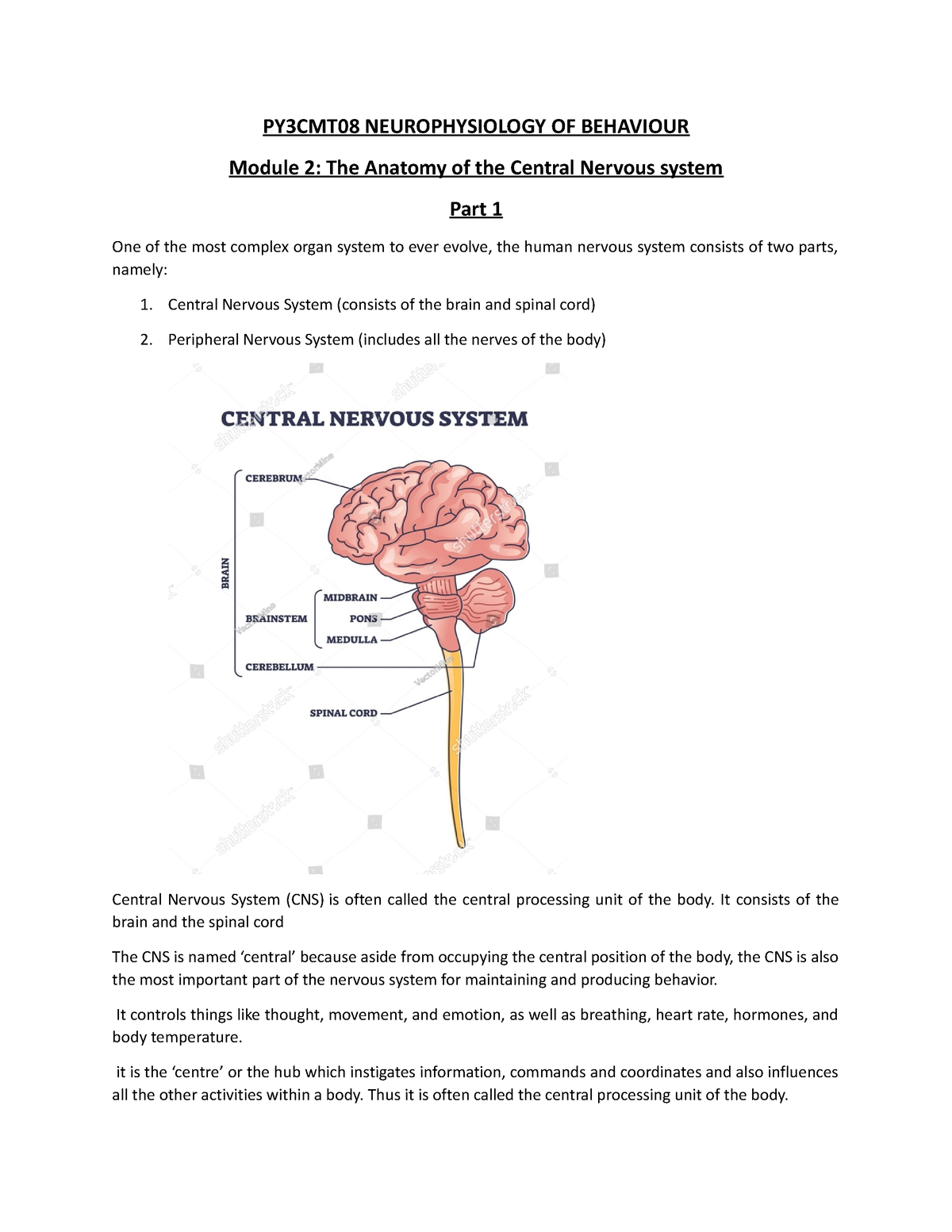 Central Nervous System Part 1 - Py3cmt08 Neurophysiology Of Behaviour 