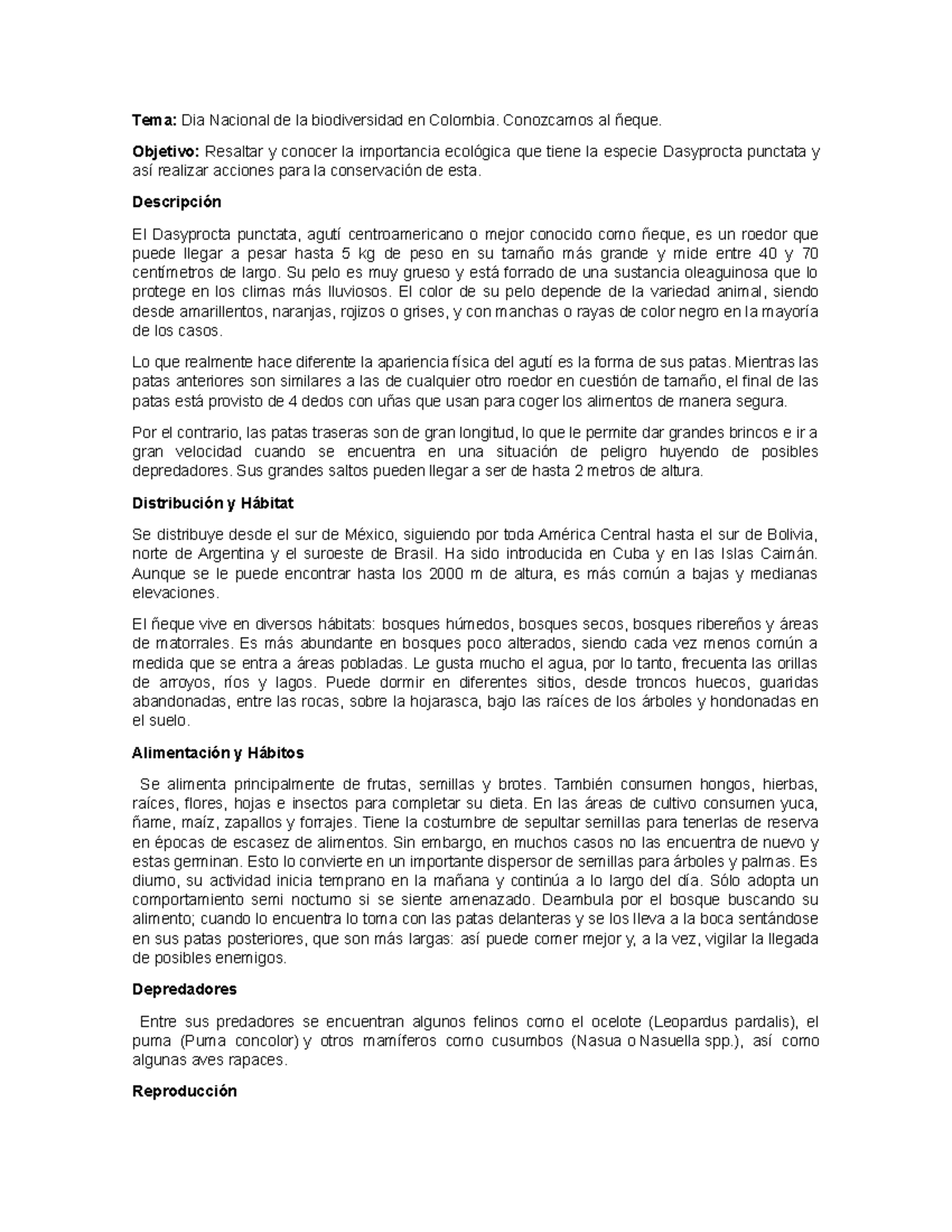 Fauna silvestre - Aguití o ñeque - Tema: Dia Nacional de la ...