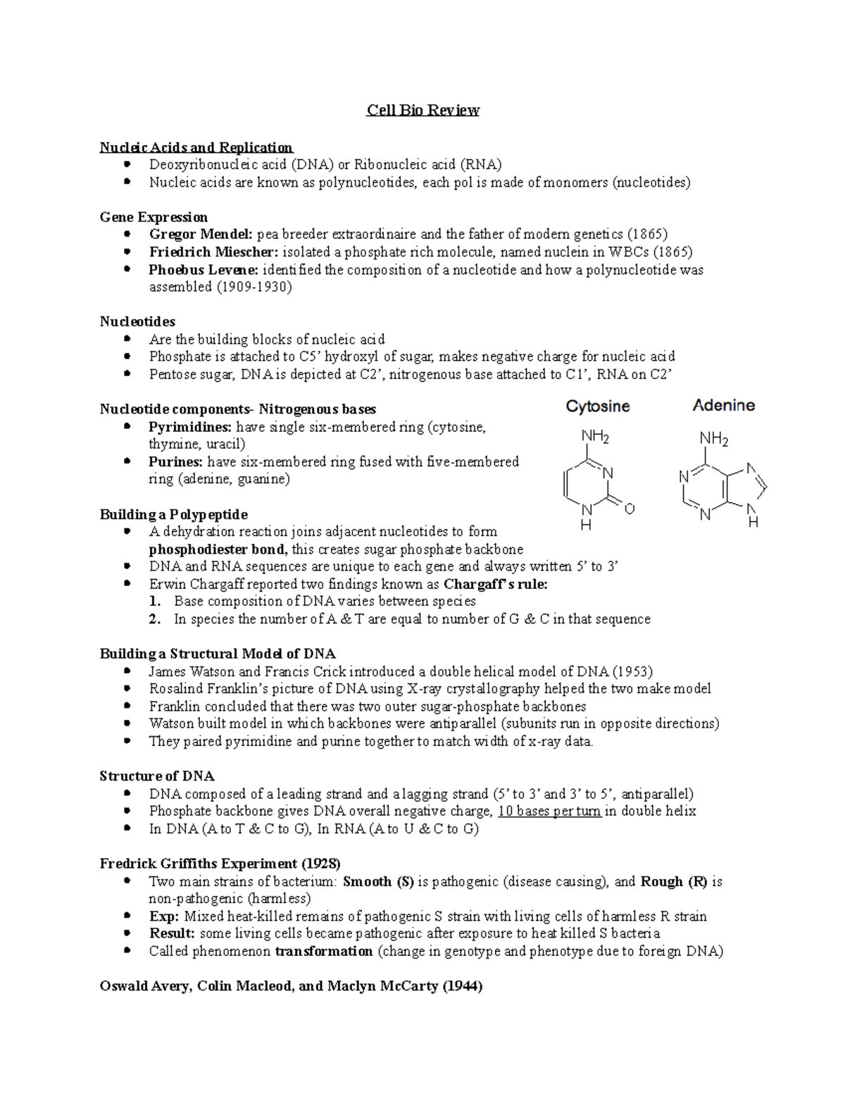 cell-bio-review-lecture-notes-all-cell-bio-review-nucleic-acids-and