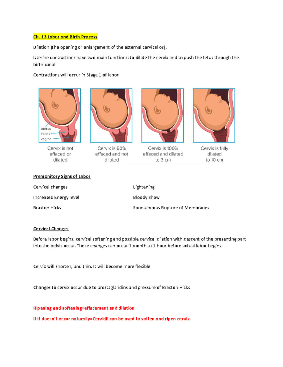 RN Maternity Ch. 13 Student - Ch. 13 Labor and Birth Process Dilation ...