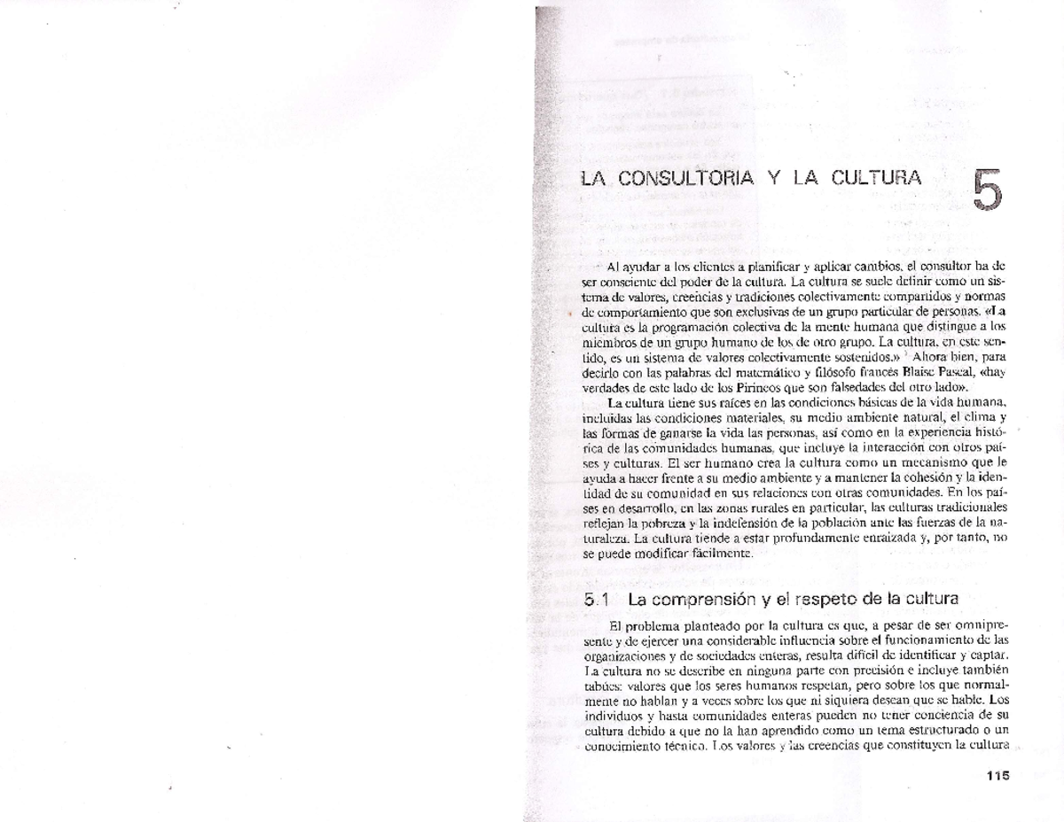 La Consultoria de Empresas - MK - capitulo 5n - Asesoria y Consultoria