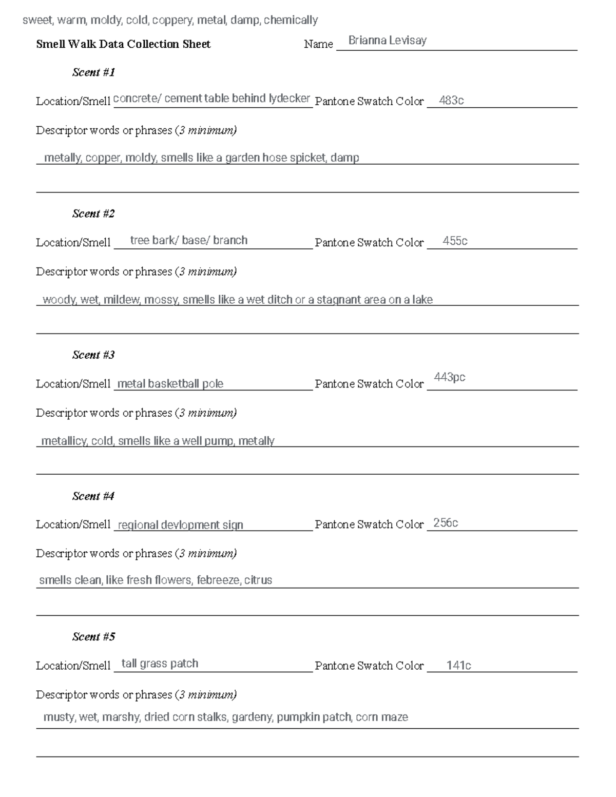 Smell Walk Data Collection Sheet-1 - Studocu