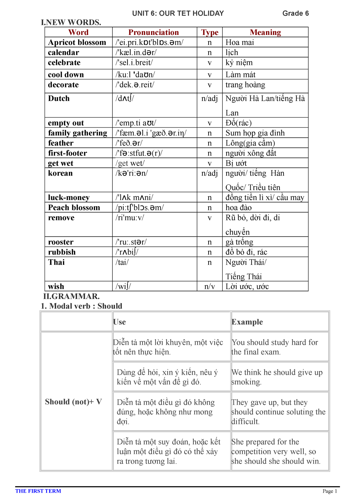 unit-6-cccccccccccccccc-unit-6-our-tet-holiday-grade-6-i-words