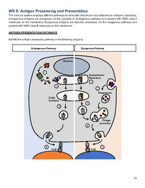 Micro suppl-f22 - Assignments - Supplemental Materials: Microbiology ...