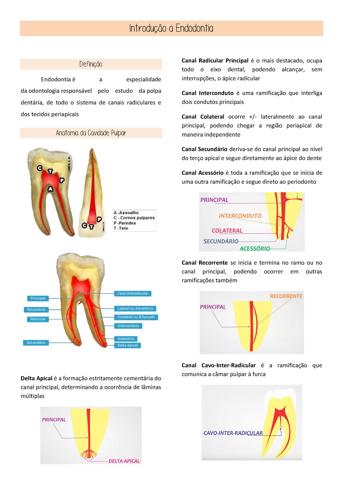 Introdução a Endodontia Introdução a Endodontia Definição Endodontia é a especialidade da