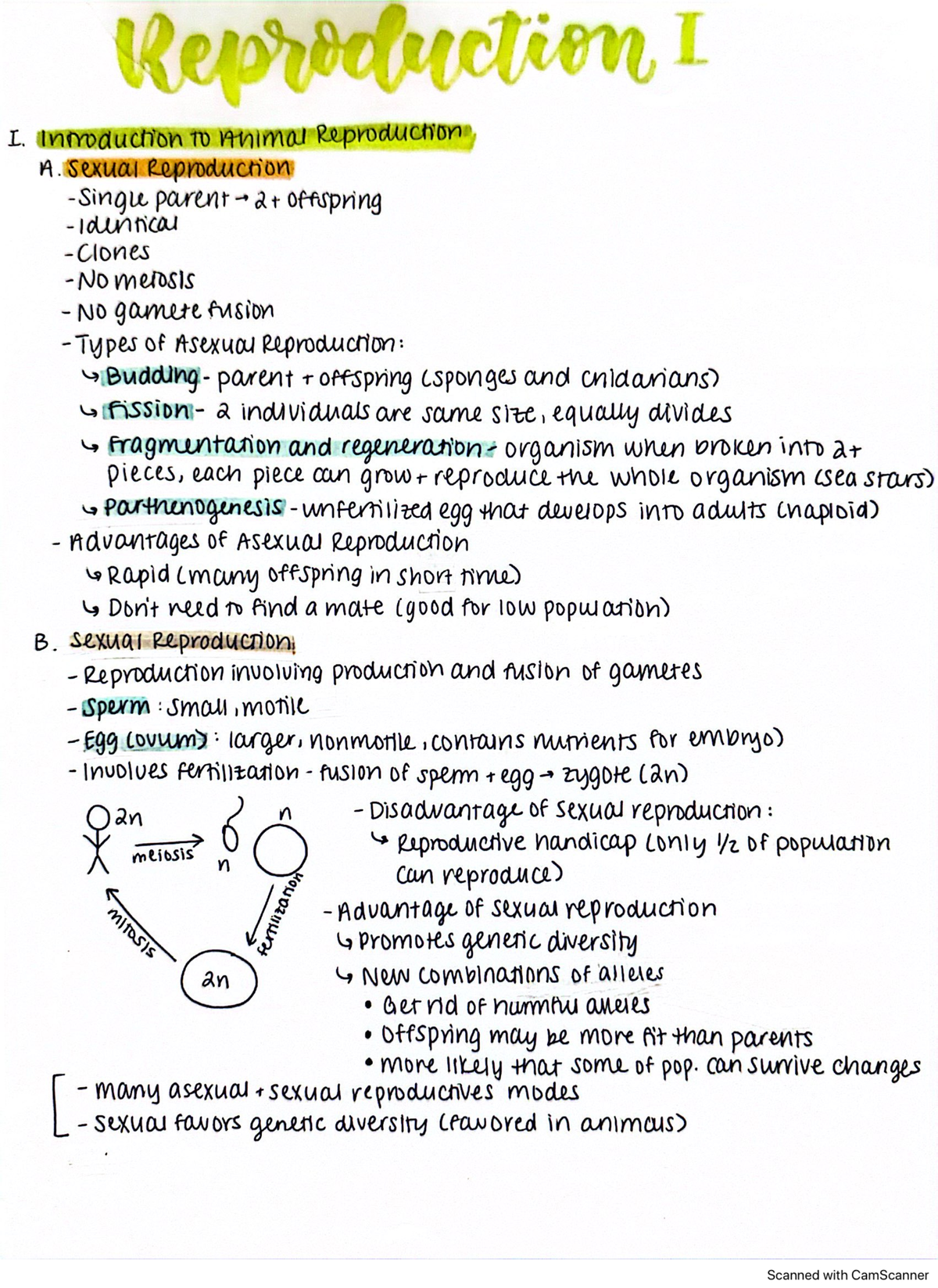 human reproduction I - 01:119:116 - Studocu