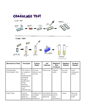 I O Chem Lab Lesson 1 2 Safe Laboratory Practices Common Laboratory ...