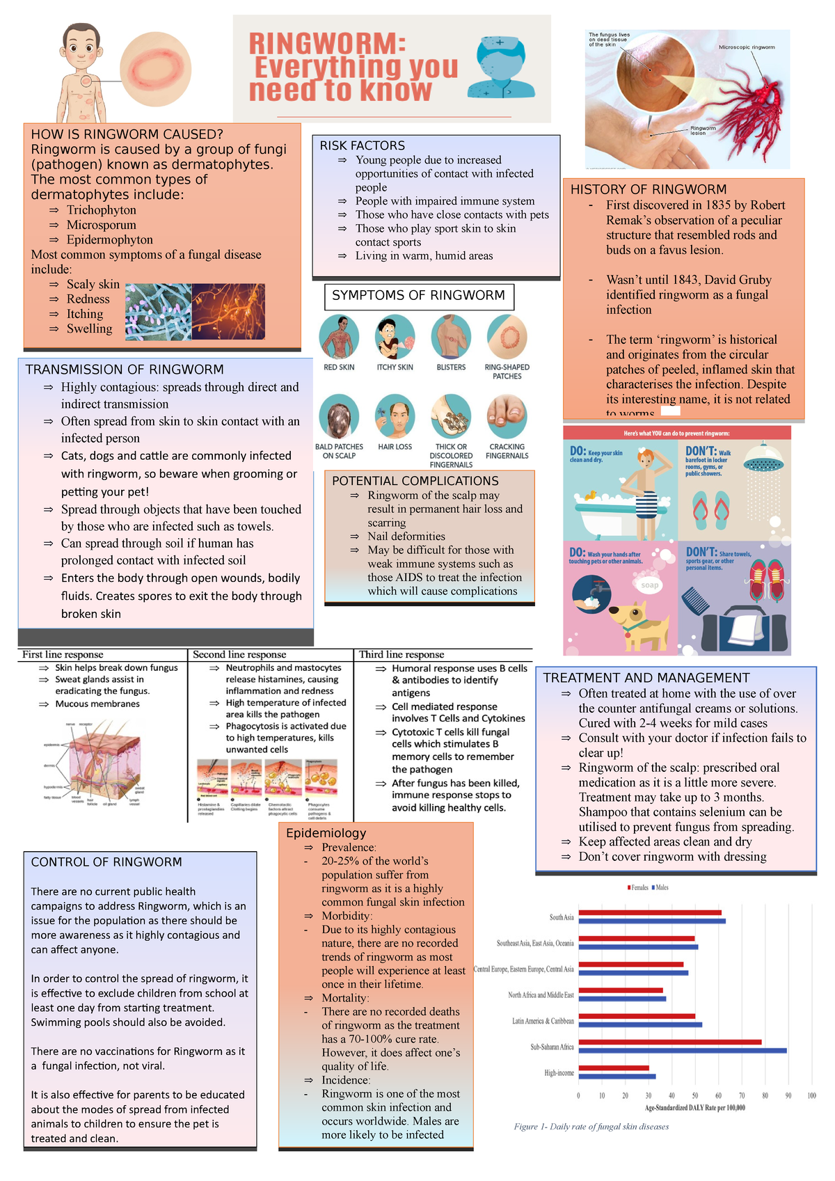 Bio inforgaphic Infectious diseases - HOW IS RINGWORM CAUSED? Ringworm ...