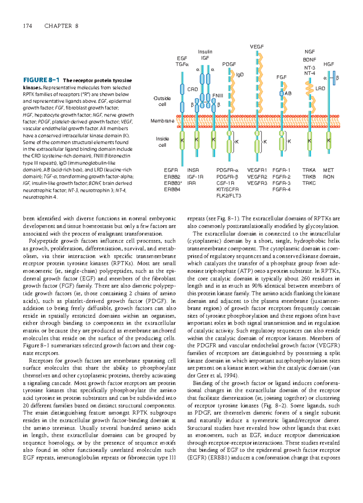 Basic Science Of Oncology 5th 63 174 Chapter 8 Been Identified With Basic Science Of Oncology 5th 63 174 Chapter 8 Been Identified With