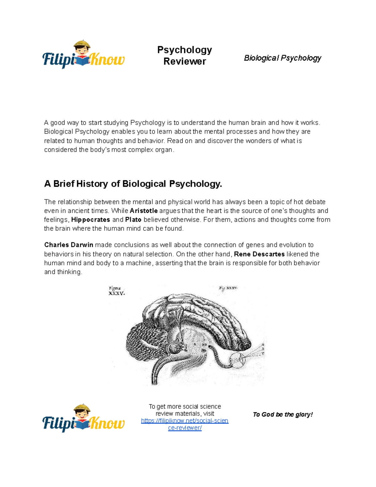 biological psychology assignment