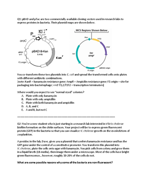 Essential Molecular Biology 2021 LSA - Page 1 of 3 BIOC0007: LSA 2021