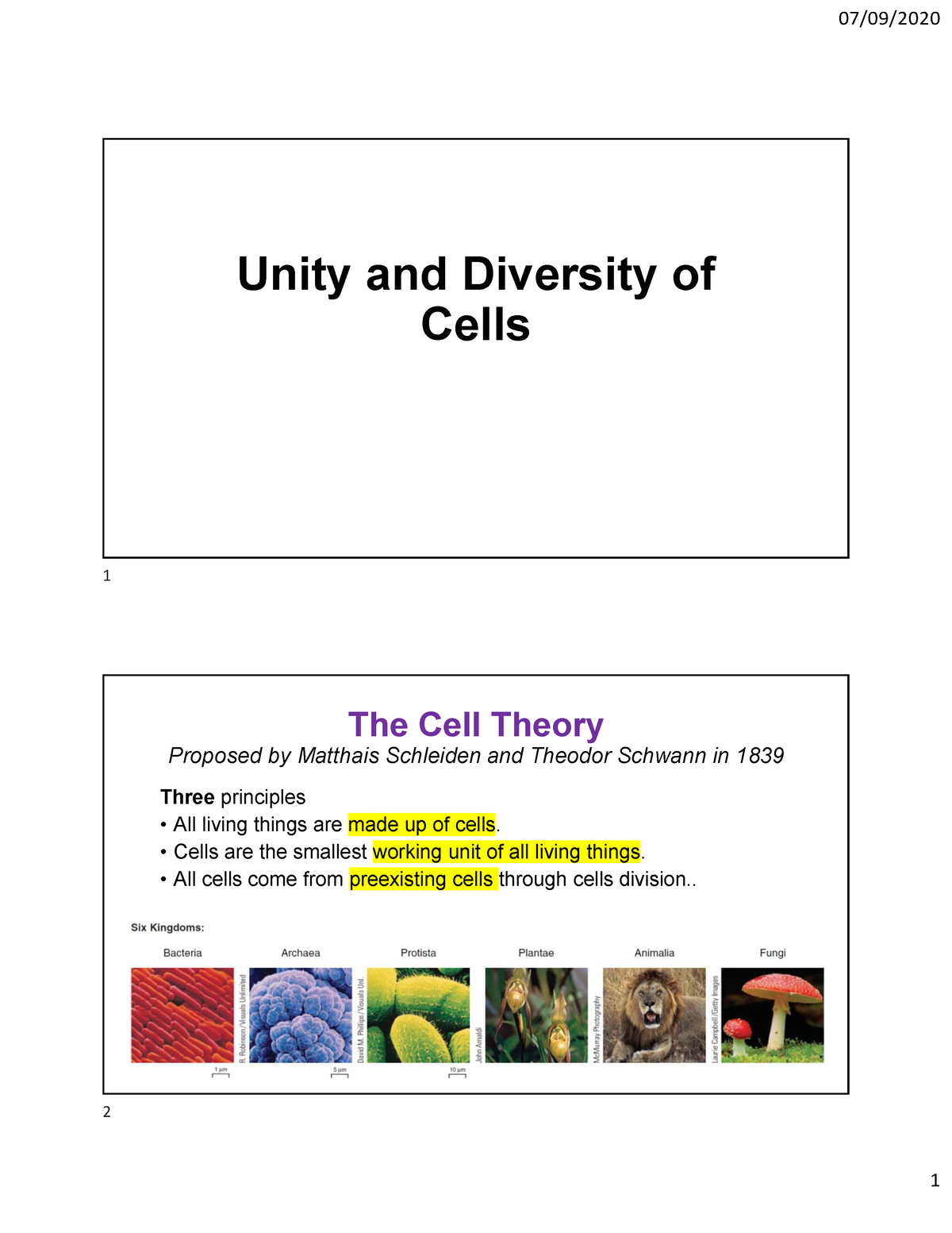 BIO211 -Lec 01 - Unity And Diversity Of Cells - Unity And Diversity Of ...