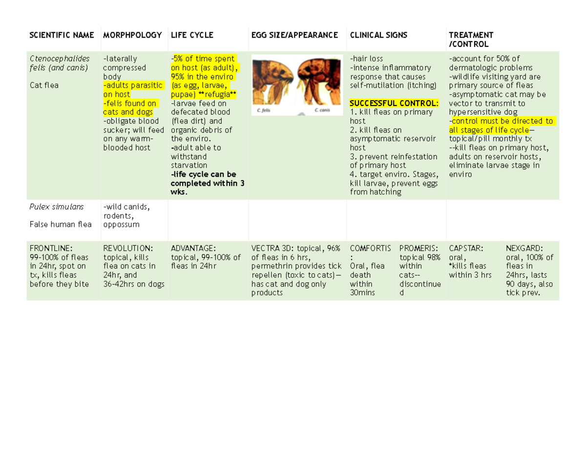 Parasit exam 4 - Lecture notes exam 4 chart - SCIENTIFIC NAME ...