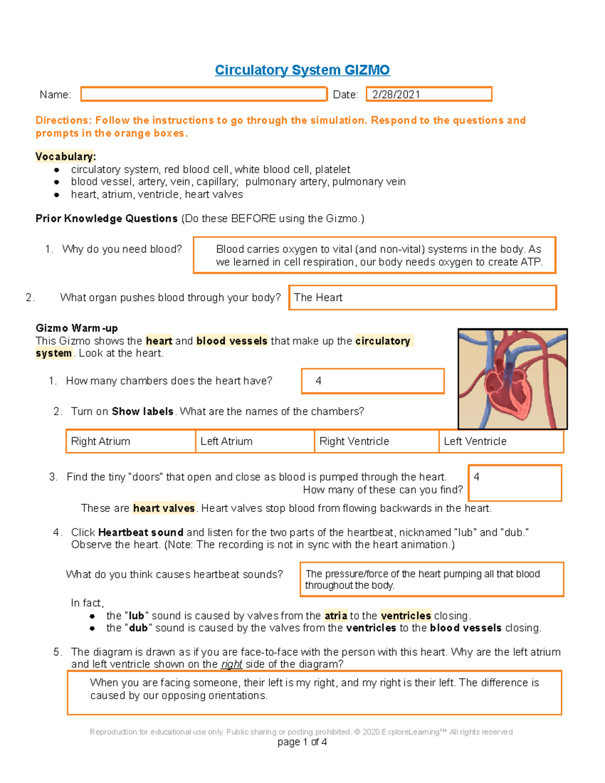 Circulatory System Gizmo Accel Circulatory System GIZMO Name Date 2