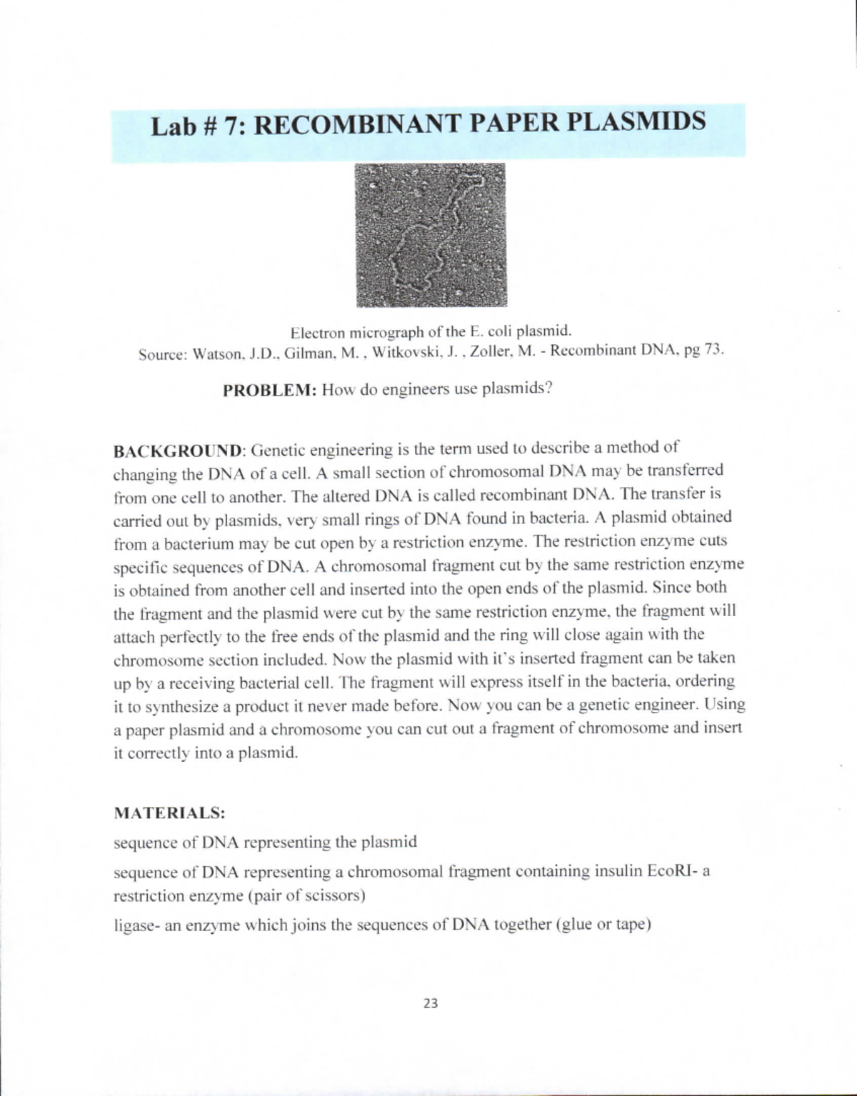 plasmids lab BSC 2010 Studocu