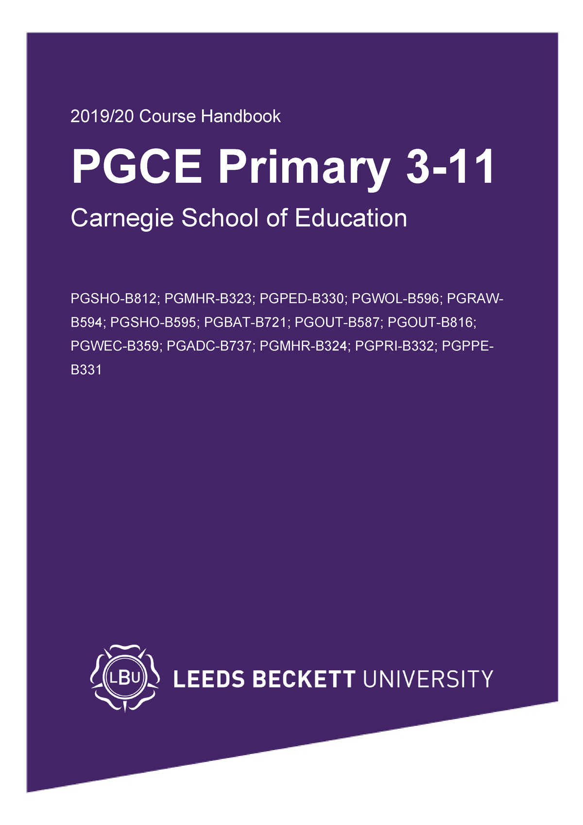 pgce primary assignment examples