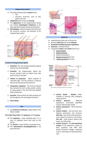 Summarized Notes (Anatomy and Physiology 12th Edition) Muscular System ...