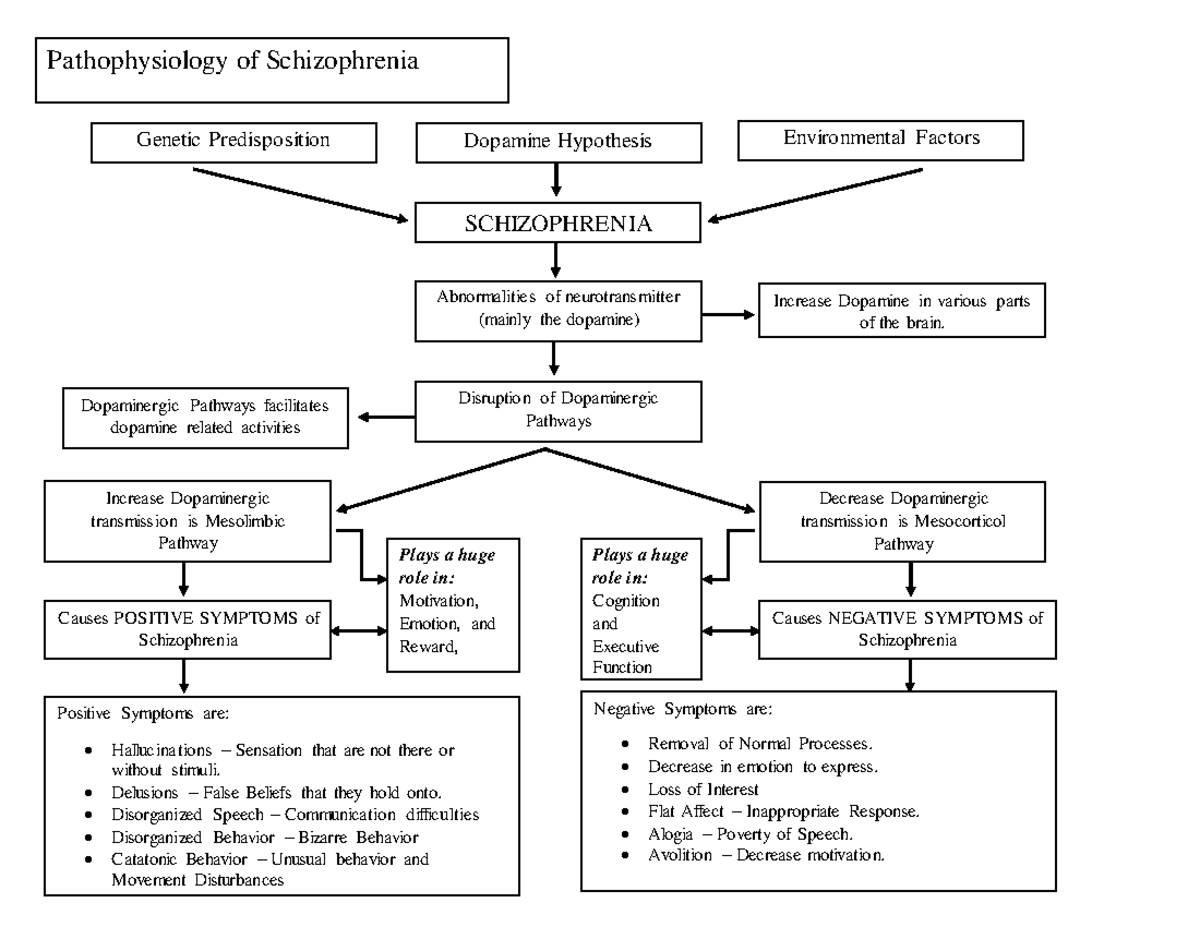 Pathogene Ltp Pathophysiology Of Schizophrenia Genetic Predisposition