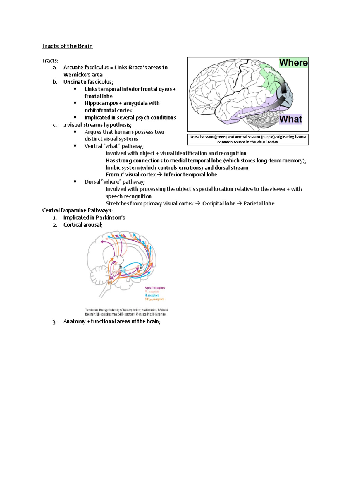 Tracts of the Brain - Tracts of the Brain Tracts: a. Arcuate fasciculus ...