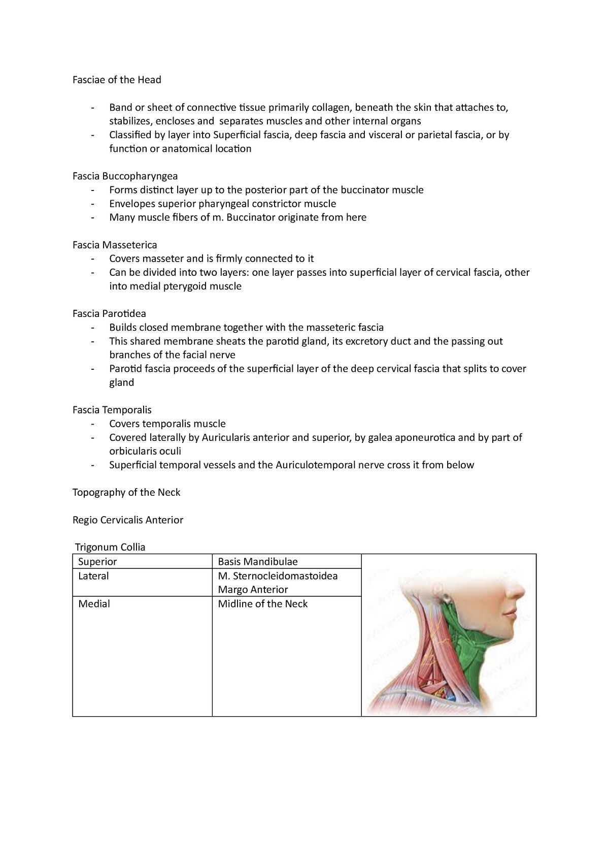 Topography of the Neck - Summary - Fasciae of the Head - Band or sheet ...