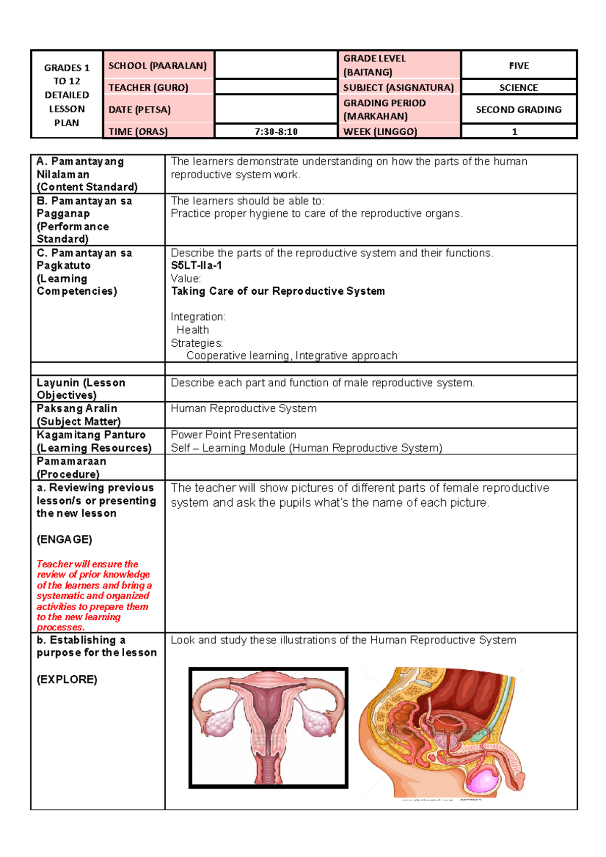 Cot Sci 5 Human Reproductive System Grades 1 To 12 Detailed Lesson Plan School Paaralan