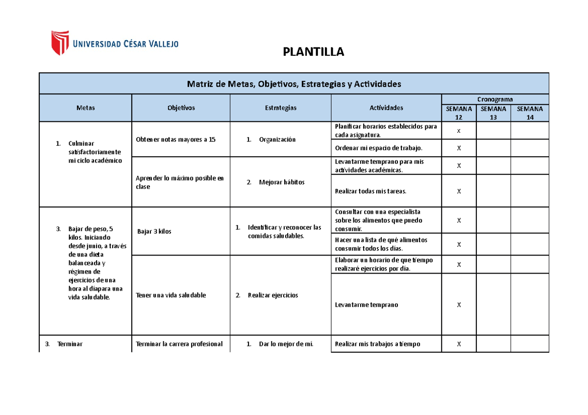 Matriz de MOEA - TRABAJO - Matriz de Metas, Objetivos, Estrategias y ...