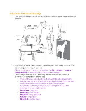 Exam 1 Study Guide - Animal Science Exam #1 Study Guide Introduction ...