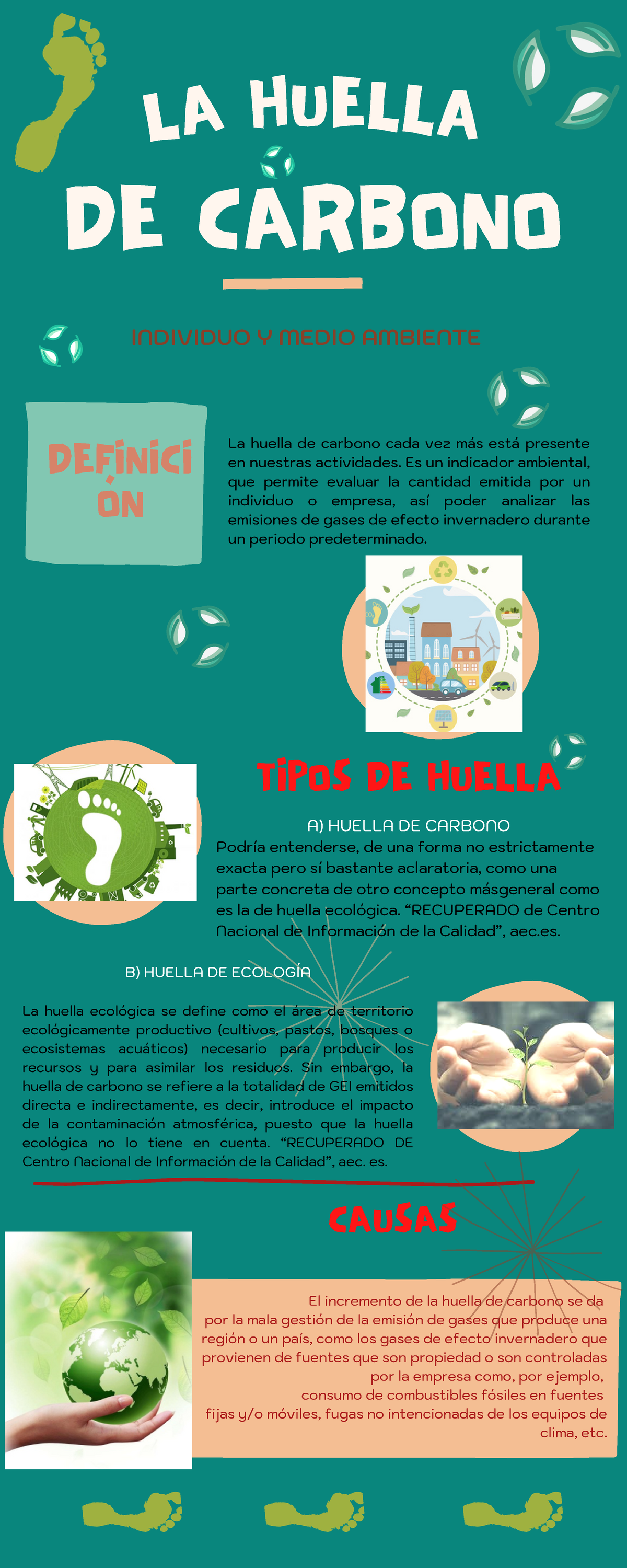 Infografia De Definiciones Y Tipos De La Huella Del Carbono - Individuo ...