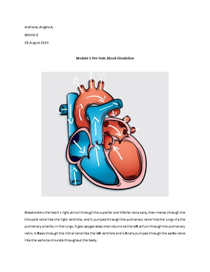 Therapeutic Communication - THERAPEUTIC COMMUNICATION Make broad ...