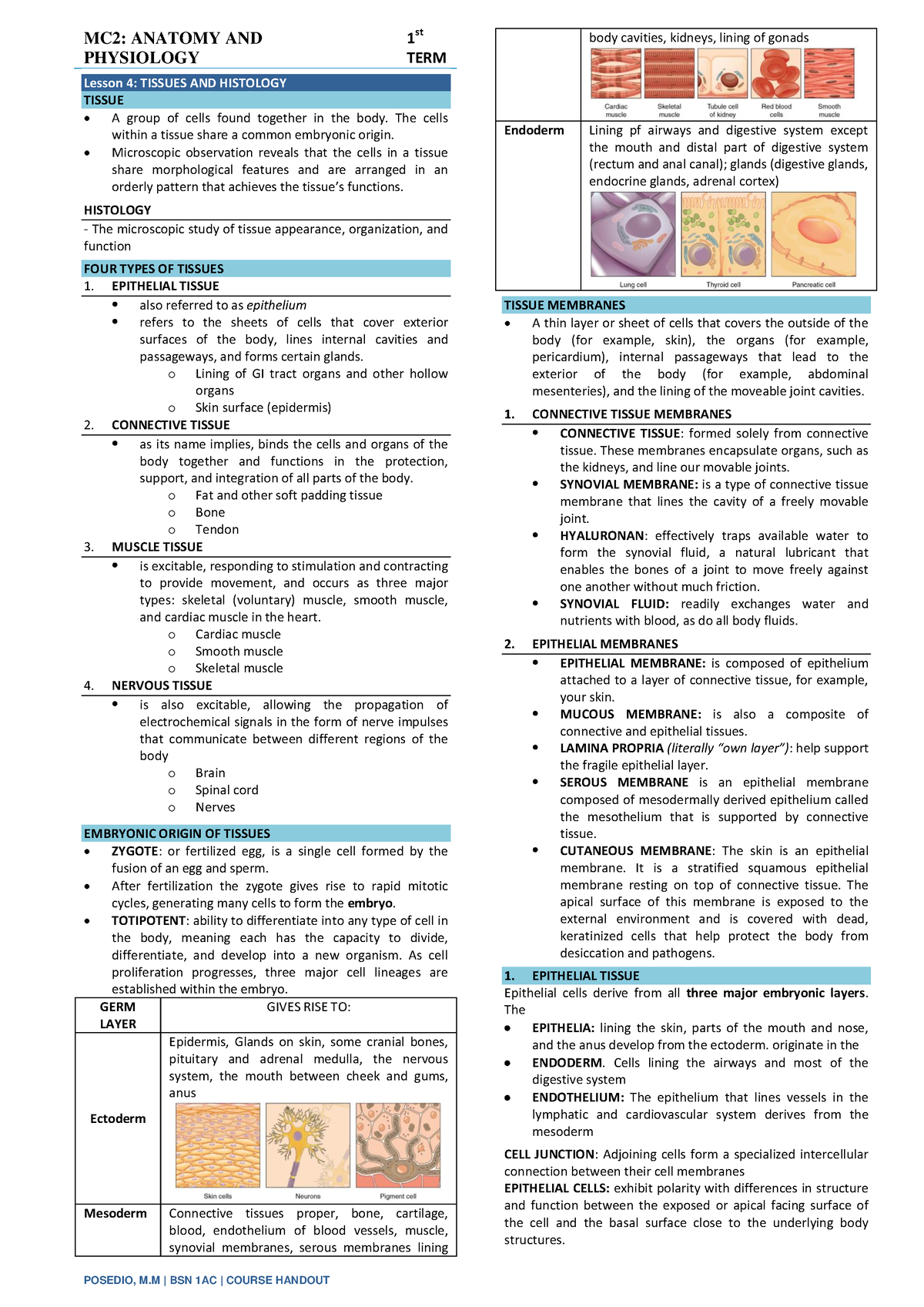 Anatomy and physiology - MC2: ANATOMY AND PHYSIOLOGY 1 st TERM Lesson 4 ...