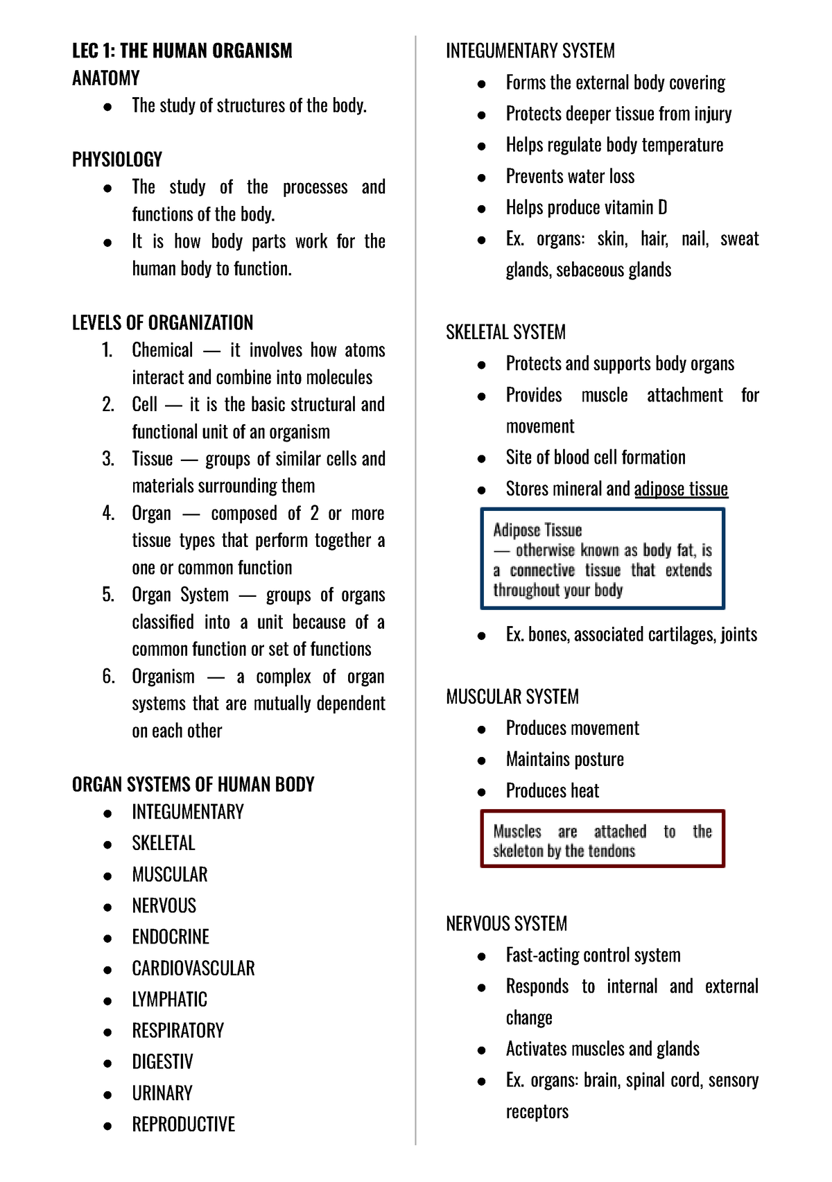 HES010 Anaphy Notes : The Human Organism Anatomy - LEC 1: THE HUMAN ...