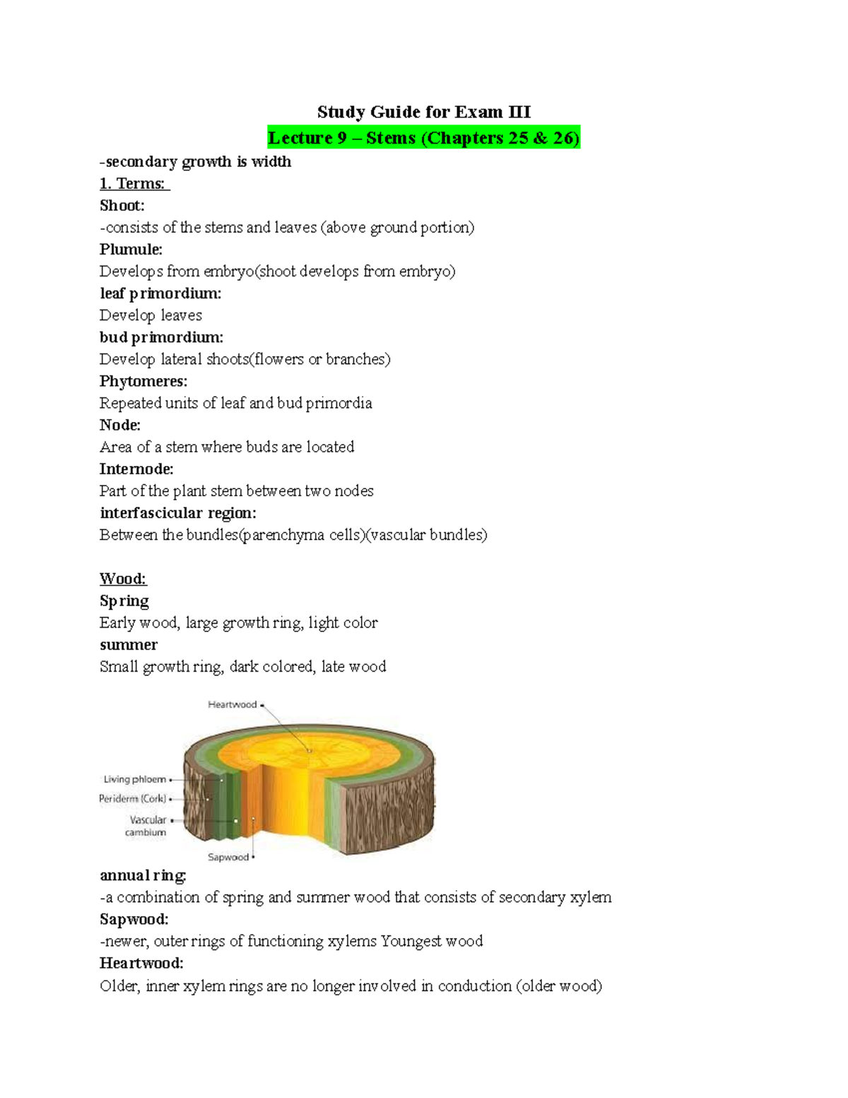 Botany test 3 Study guide (this thursday) Study Guide for Exam III Lecture 9 Stems (Chapters