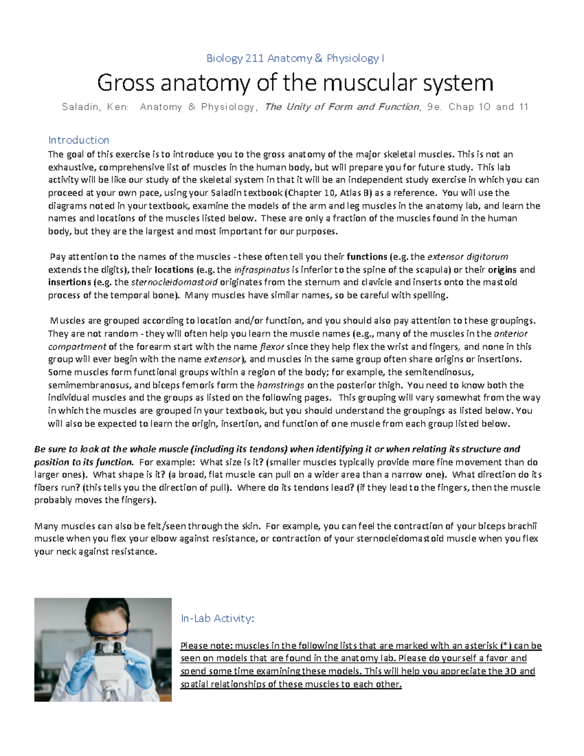 BIOL 211 Gross anatomy of muscular system Fall 2022 online - Biology ...