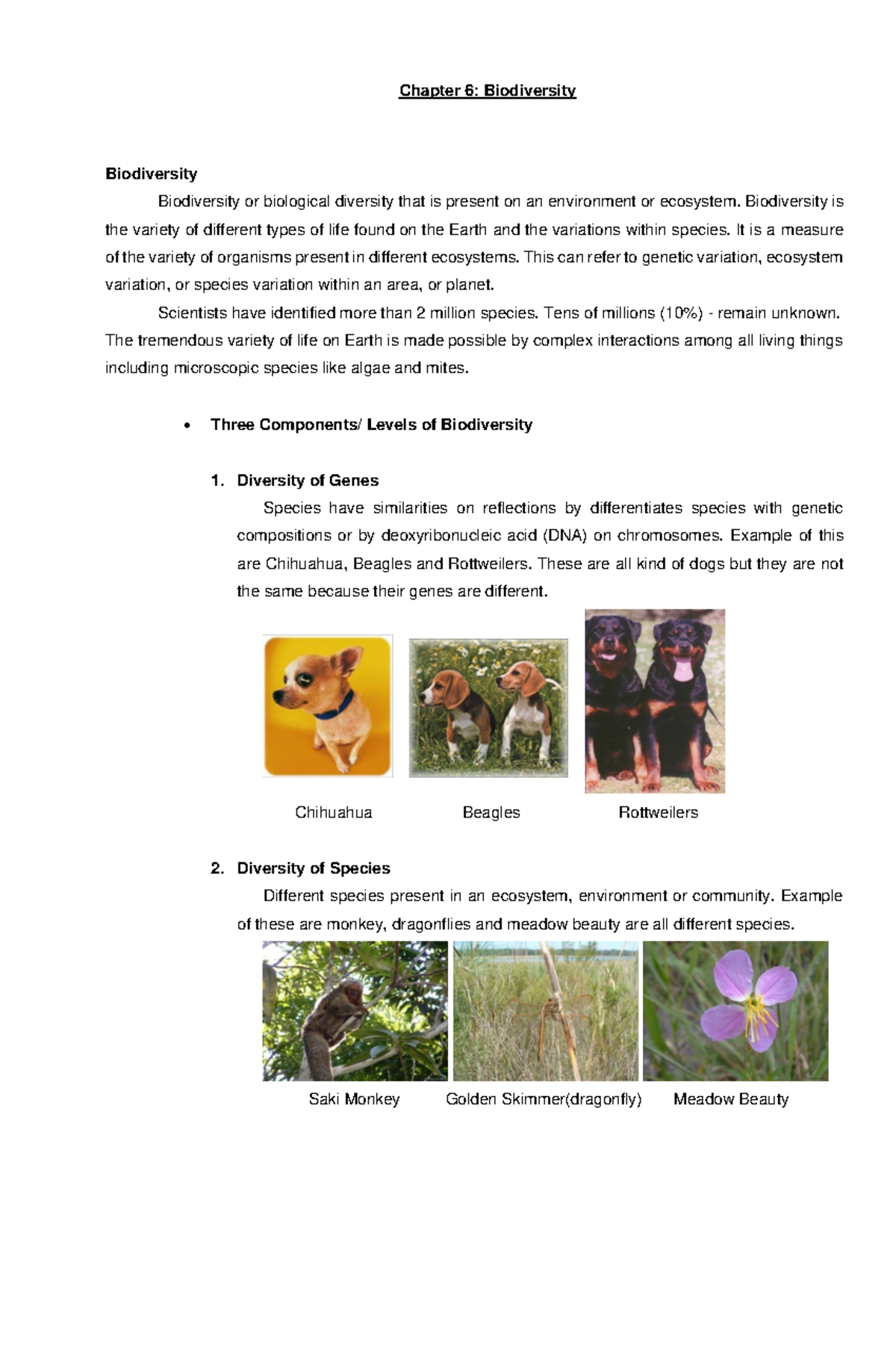 Chapter 6 - n/a - Chapter 6: Biodiversity Biodiversity Biodiversity or ...