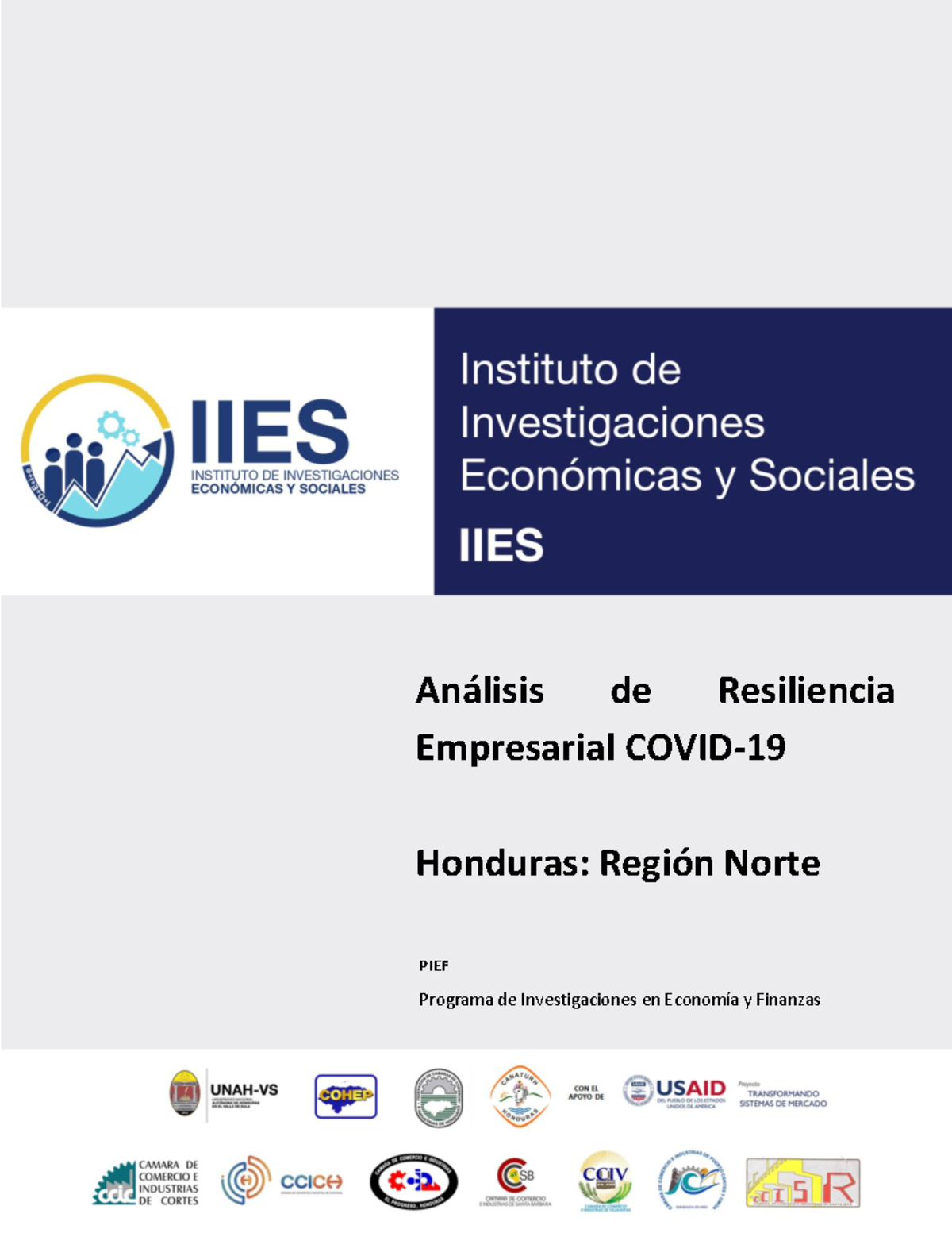 PIEF Analisis de Resiliencia Empresarial Region Valle de Sula - PIEF ...
