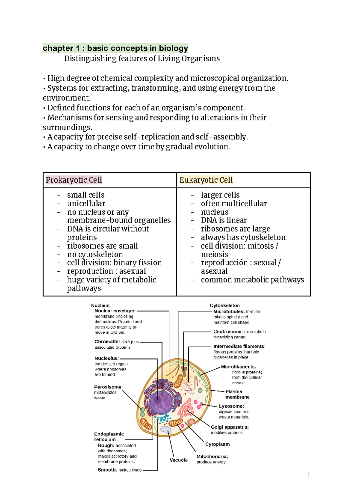 Biology Chapters 1,2,3,4,6 - Chapter 1 : Basic Concepts In Biology ...